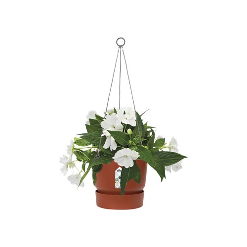 Elho greenville hangschaal 24cm - afbeelding 2