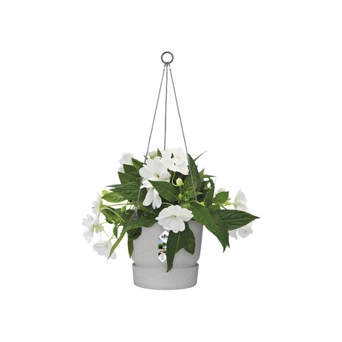 Elho greenville hangschaal 24cm - afbeelding 2