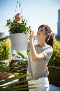 Elho greenville hangschaal 24cm - afbeelding 5