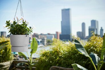 Elho greenville hangschaal 24cm - afbeelding 4