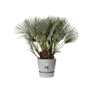 Elho greenville rond 40cm - afbeelding 2