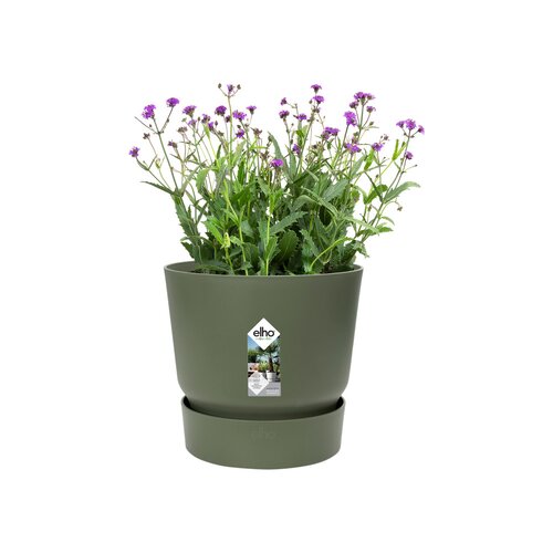 Elho greenville round 25cm blad groen - afbeelding 2