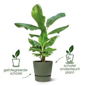 Elho greenville round 30cm wit - afbeelding 3