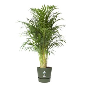 Elho greenville round 40cm blad groen - afbeelding 2