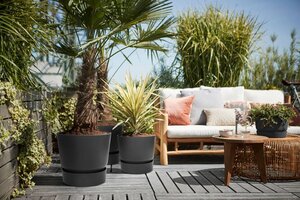 Elho greenville round 40cm living black - afbeelding 5