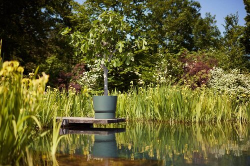 Elho greenville round 55cm blad groen - afbeelding 5