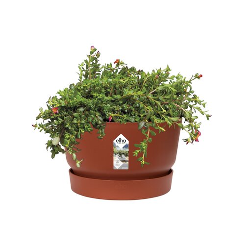 Elho greenville schaal 33cm - afbeelding 2