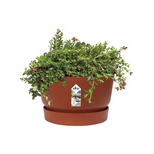 Elho greenville schaal 33cm - afbeelding 2