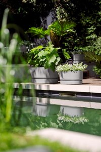 Elho greenville terrace trough 60cm wheels - afbeelding 6
