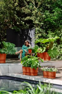 Elho greenville terrace trough 60cm wheels - afbeelding 5