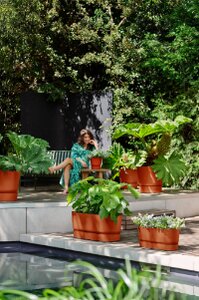 Elho greenville terrace trough 60cm wheels - afbeelding 5