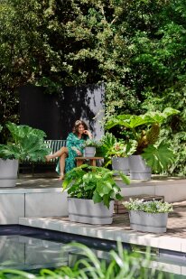 Elho greenville terrace trough 60cm wheels - afbeelding 5