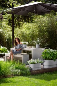 Elho greenville terrace trough 60cm wheels - afbeelding 4