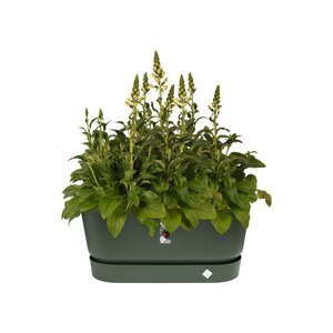 Elho greenville terrace trough 80cm wheels - afbeelding 2