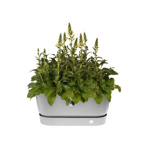 Elho greenville terrace trough 80cm wheels - afbeelding 2
