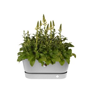 Elho greenville terrace trough 80cm wheels - afbeelding 2