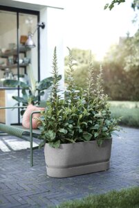 Elho greenville terrace trough 80cm wheels - afbeelding 4