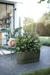 Elho greenville terrace trough 80cm wheels - afbeelding 3