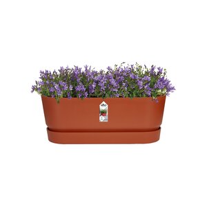 Elho greenville trough long 50cm - afbeelding 2