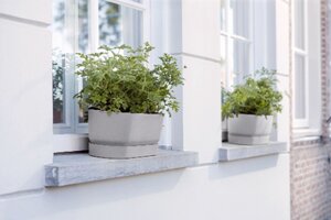 Elho greenville trough long 70cm - afbeelding 3