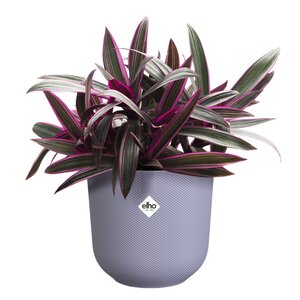 Elho jazz rond 16cm lavendel lila - afbeelding 2