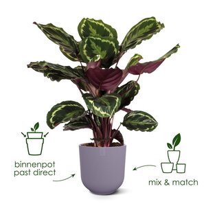 Elho jazz rond 23cm zijdewit - afbeelding 3