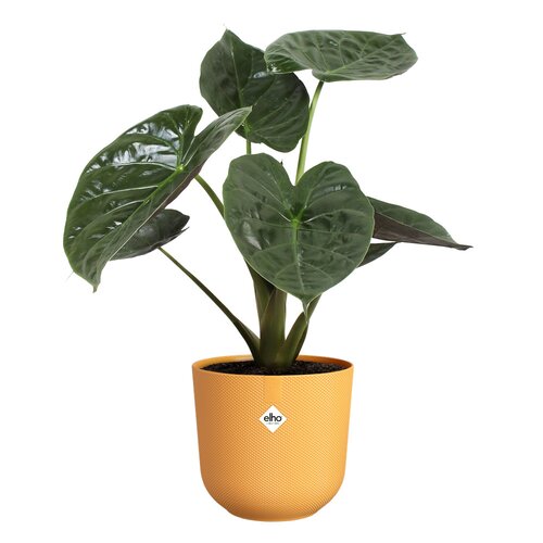 Elho jazz rond 26cm amber geel - afbeelding 2