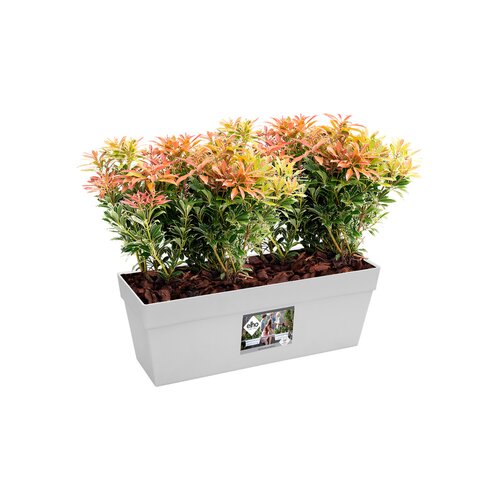 Elho loft urban balkonbak 50cm wit - afbeelding 2
