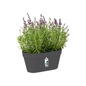 Elho loft urban green wall duo 28cm antraciet - afbeelding 2