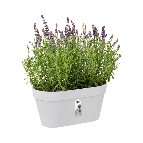 Elho loft urban green wall duo 28cm wit - afbeelding 2