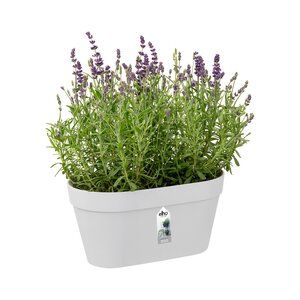 Elho loft urban green wall duo 28cm wit - afbeelding 2