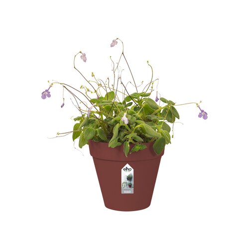 Elho loft urban green wall single 15cm - afbeelding 2