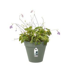Elho loft urban green wall single 15cm pistachegroen - afbeelding 2