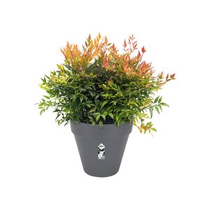 Elho loft urban rond 20cm antraciet - afbeelding 2