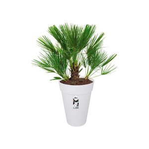 Elho loft urban rond hoog 42cm wit - afbeelding 2