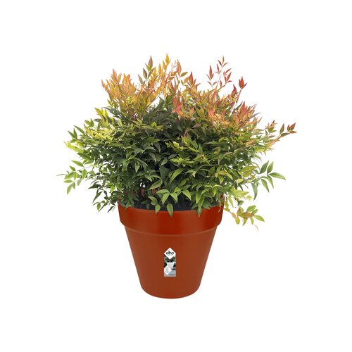 Elho loft urban rond wielen 40 - afbeelding 2