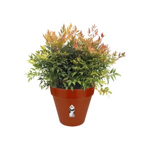 Elho loft urban rond wielen 40 - afbeelding 2