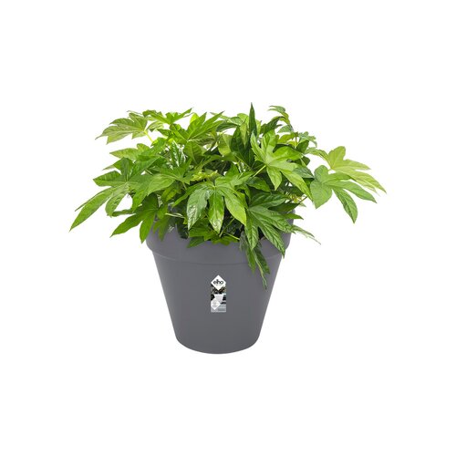 Elho loft urban rond wielen 50cm antraciet - afbeelding 2