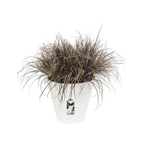 Elho loft urban rond wielen 60cm wit - afbeelding 2