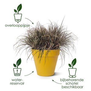 Elho loft urban rond wielen 60cm wit - afbeelding 3