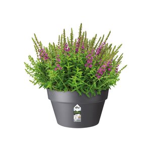 Elho loft urban schaal 35cm antraciet - afbeelding 2