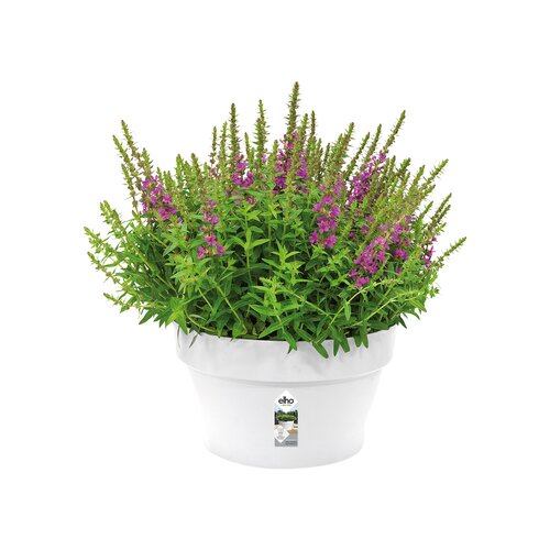 Elho loft urban schaal 35cm wit - afbeelding 2