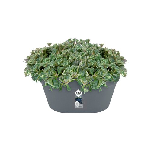 Elho loft urban wandbak 40cm antraciet - afbeelding 2