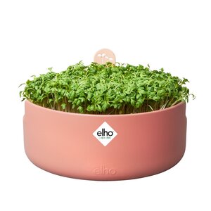 Elho Magic Microgreens Bruin - afbeelding 2