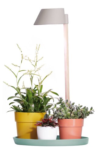 Elho plant light care 11cm gletsjer grijs - afbeelding 2