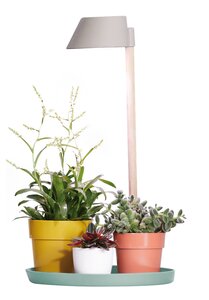 Elho plant light care 11cm gletsjer grijs - afbeelding 2