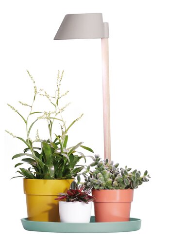 Elho plant light care - afbeelding 2