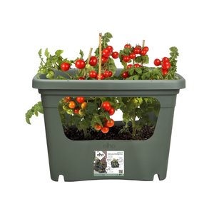 Elho Plantenbak Green Basics Stack & Grow Large groen - afbeelding 3