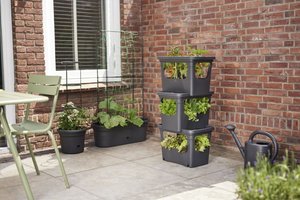 Elho Plantenbak Green Basics Stack & Grow Large zwart - afbeelding 5