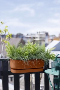 Elho Plantenbak Greenville Easy Balcony 52cm bruin - afbeelding 4